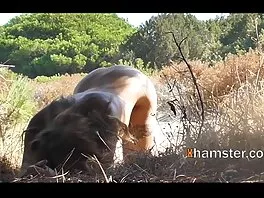 Video Block Sun tai sex về máy đặc biệt (Diamond Kitty)